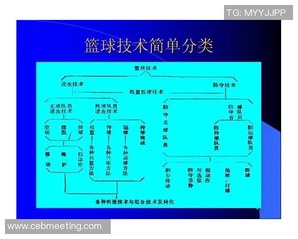篮球技术全面解析：从基础动作到高级战术的全面提升与实战应用