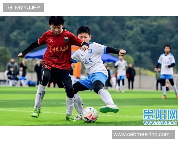 绿茵逐梦激情燃烧见证足球赛场上的荣耀与传奇